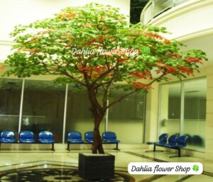 Jual Pohon Plastik artificial Maple untuk Dekorasi Jakarta
